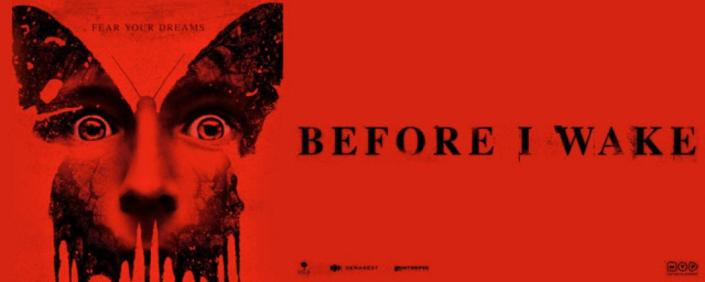 Before I Wake