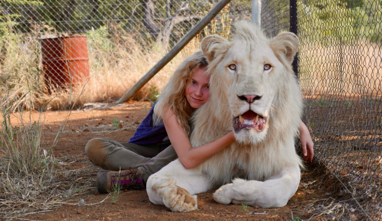 Mia and the White Lion